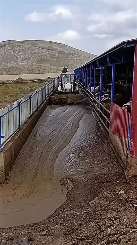 cleaning mud Ecuador|Clean.